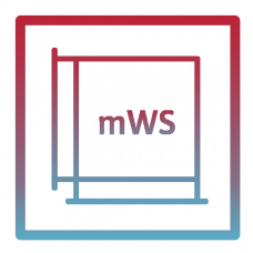 mWS